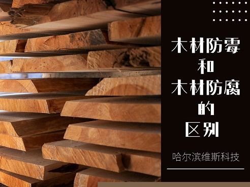 木材防霉與木材防腐的區別 木材防腐劑的作用解析